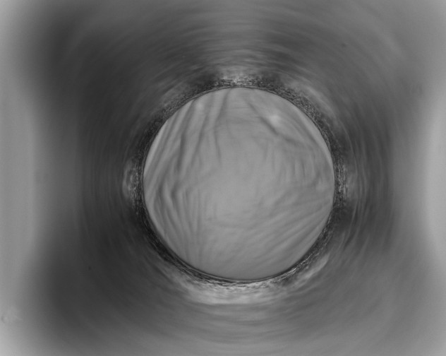 X0000095910036200801251019