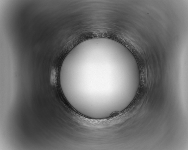 X0000095910038200801251019