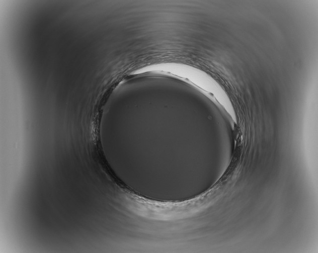 X0000095910039200801251018