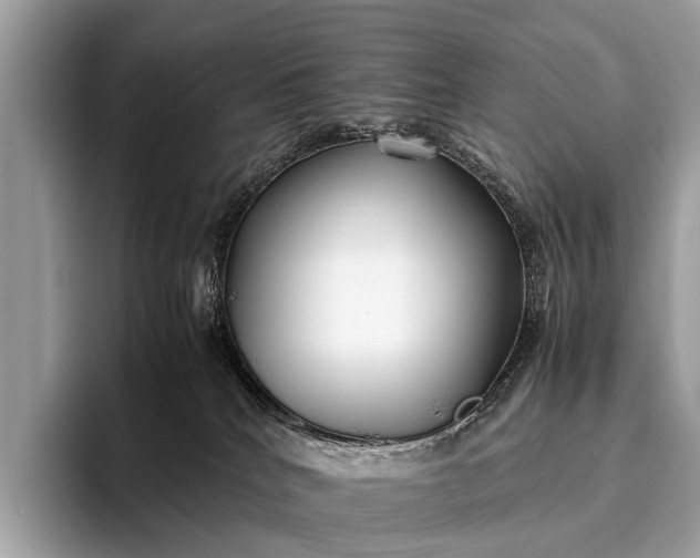 X0000095910040200801251018