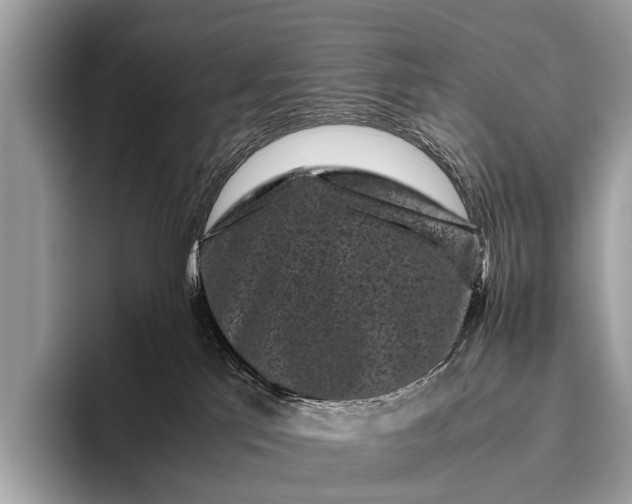 X0000095910041200801251018