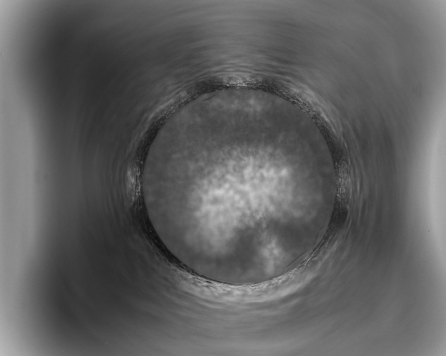 X0000095910043200801251018