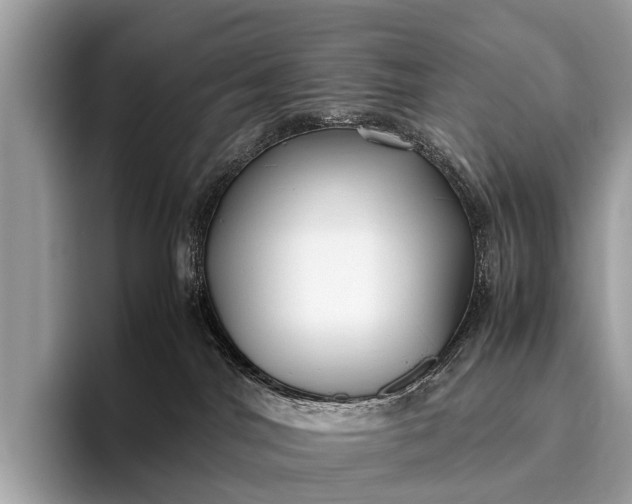 X0000095910044200801251018