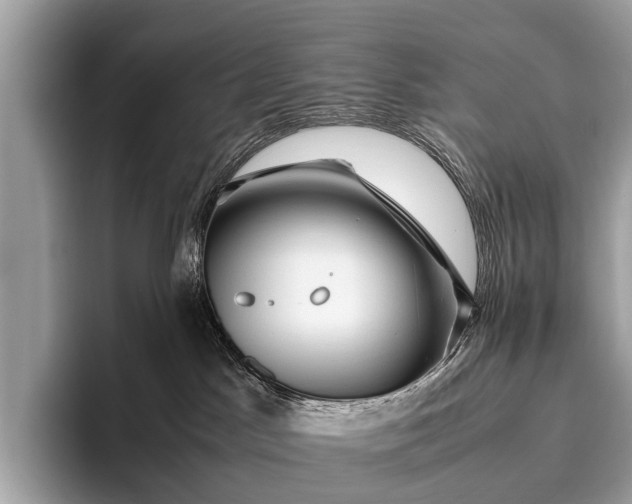 X0000095910045200801251018