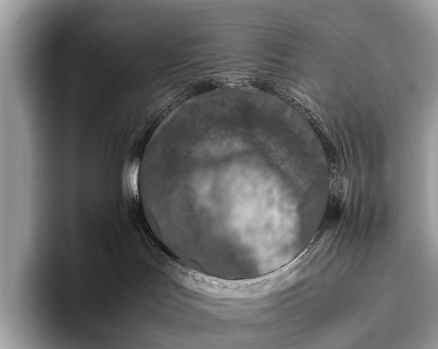 X0000095910047200801251018