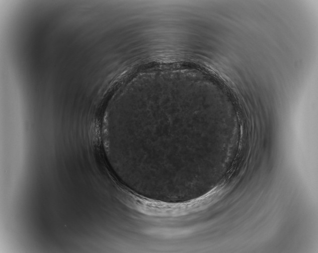 X0000095910048200801251018