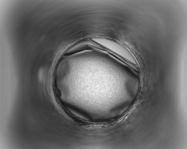 X0000095910049200801251018