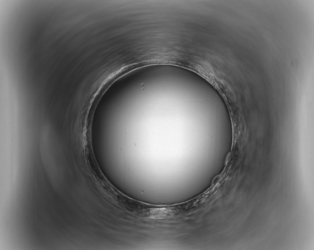 X0000095910050200801251018