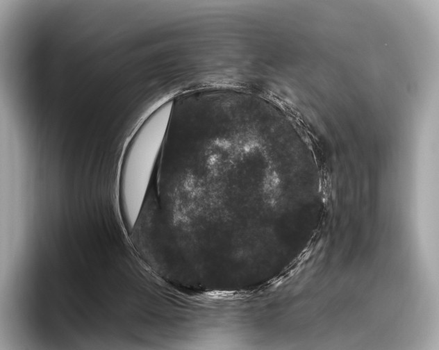 X0000095910052200801251018