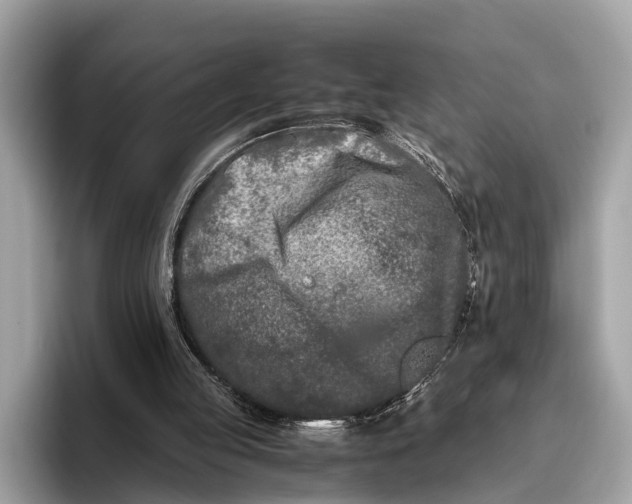 X0000095910053200801251018