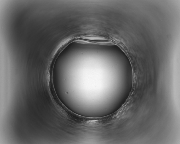 X0000095910054200801251018