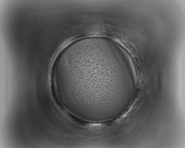 X0000095910055200801251018