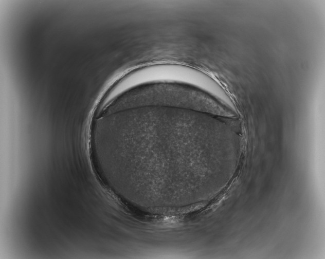 X0000095910056200801251018