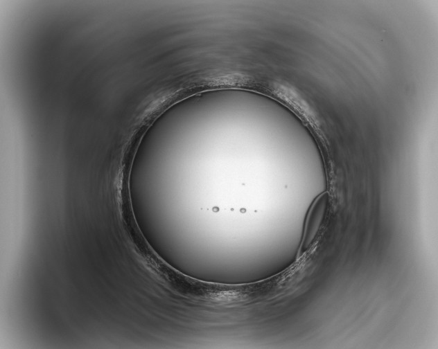 X0000095910058200801251018