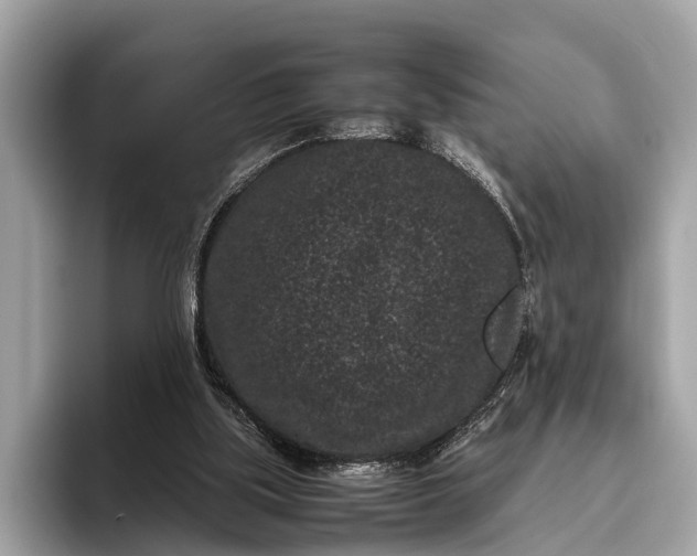 X0000095910059200801251018