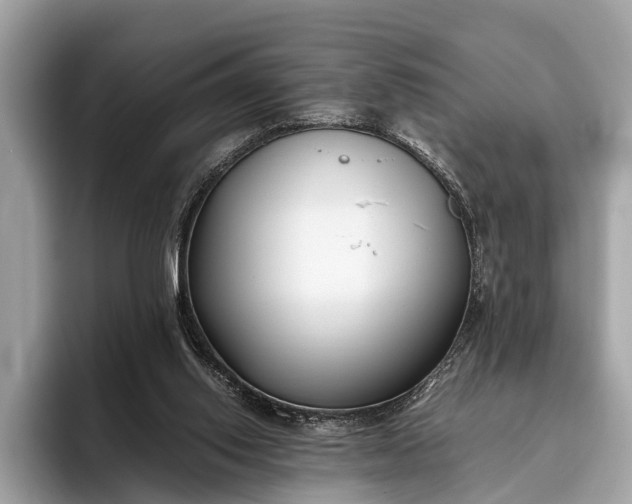 X0000095910062200801251018