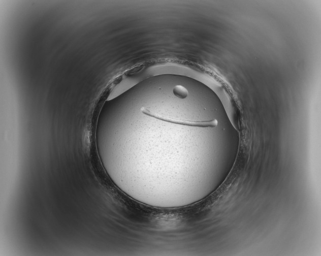 X0000095910063200801251018