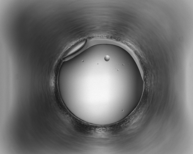 X0000095910064200801251018