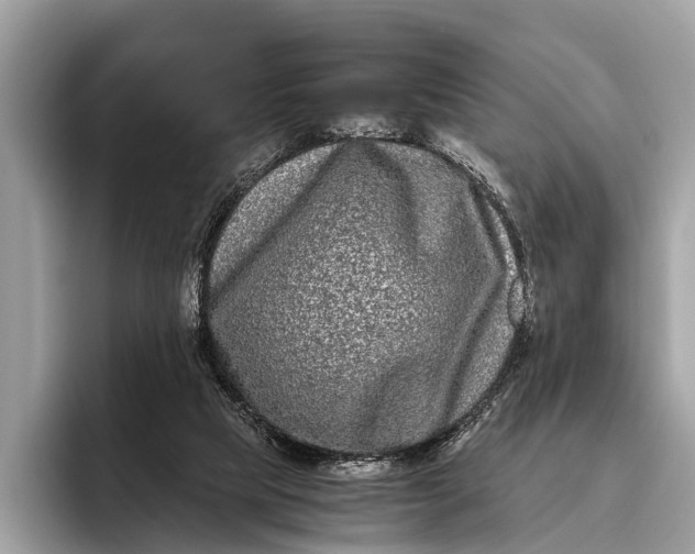 X0000095910065200801251018