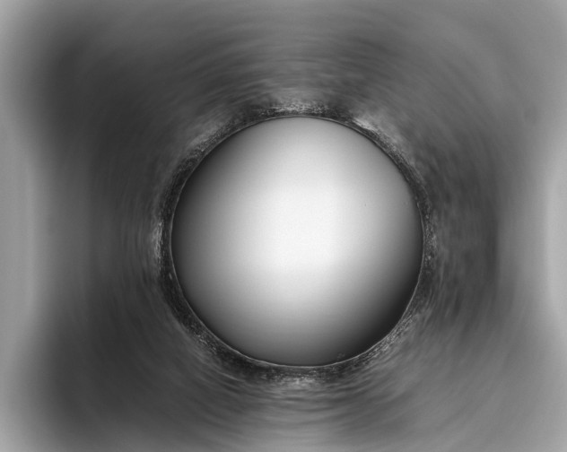 X0000095910066200801251018