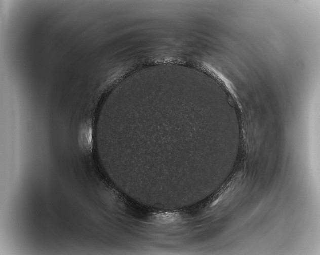 X0000095910067200801251018