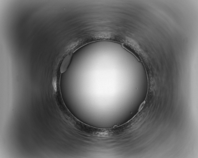 X0000095910068200801251018