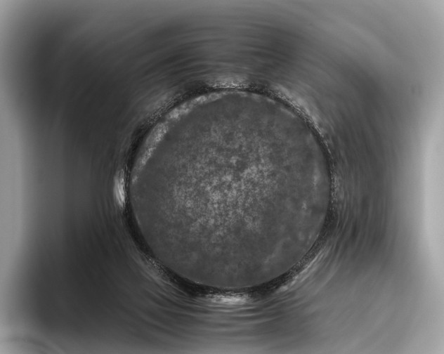 X0000095910069200801251018