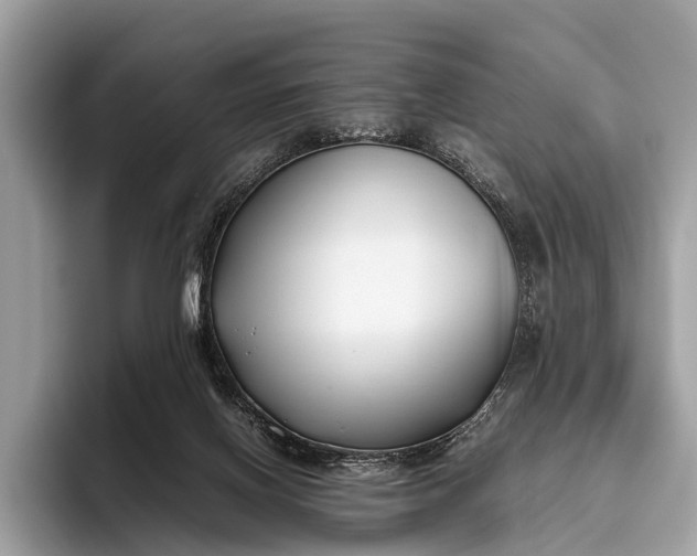 X0000095910070200801251018