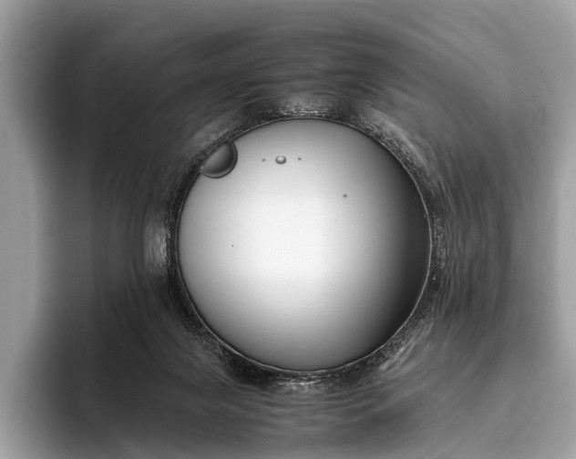 X0000095910071200801251018