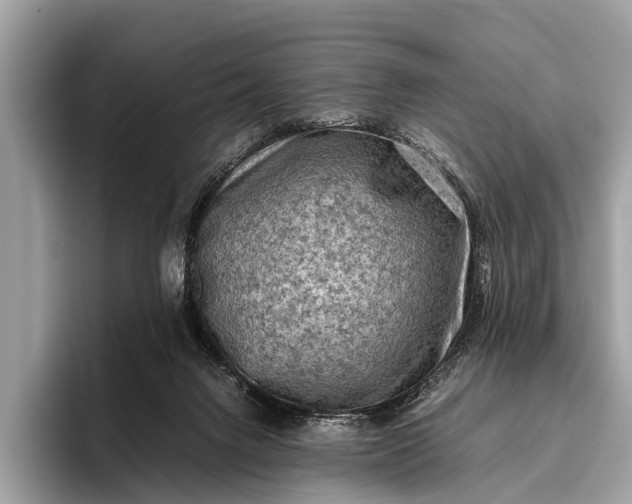 X0000095910072200801251018