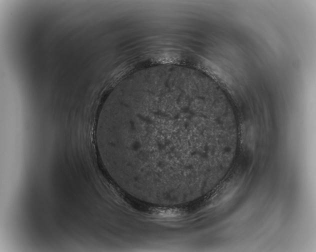 X0000095910073200801251018