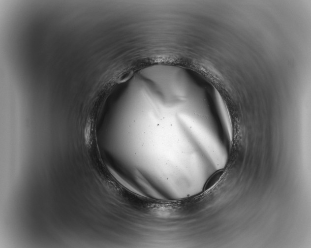 X0000095910074200801251018