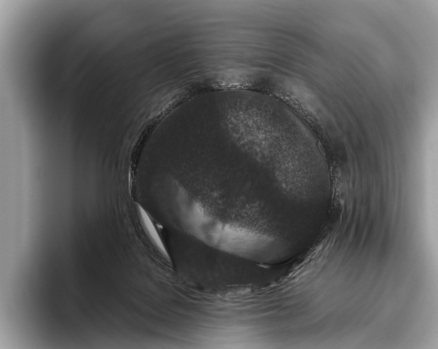 X0000095910076200801251018