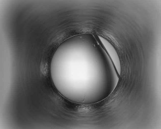 X0000095910077200801251018