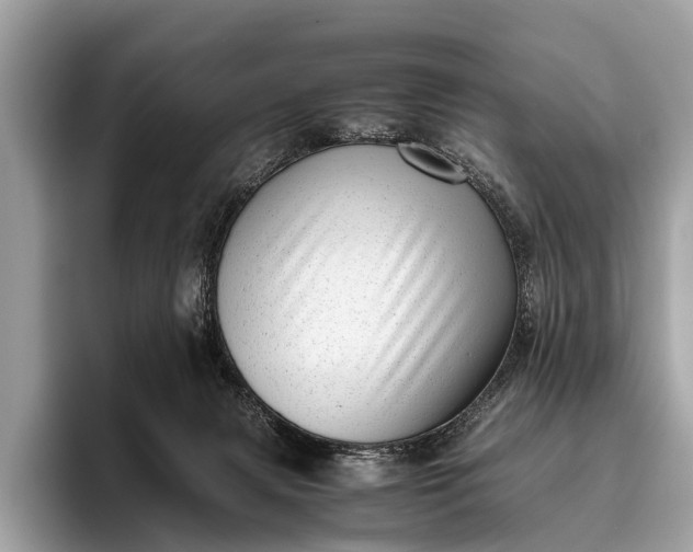 X0000095910079200801251018