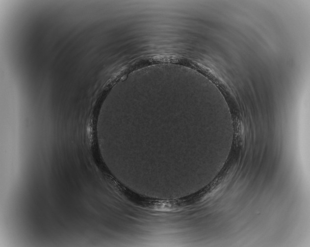 X0000095910080200801251018