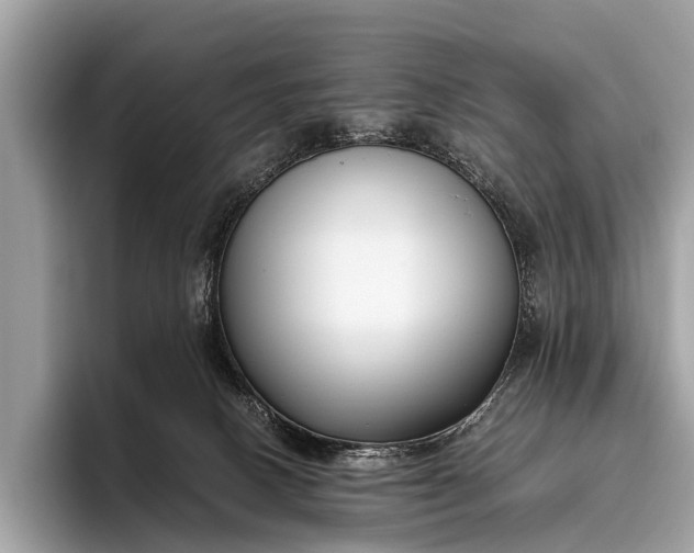 X0000095910082200801251018