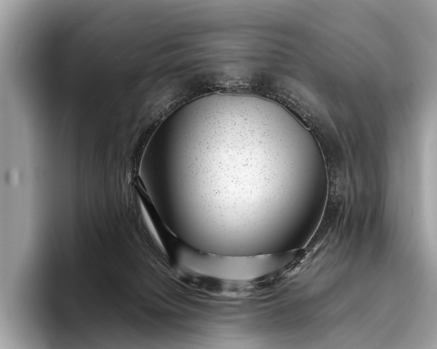 X0000095910084200801251018