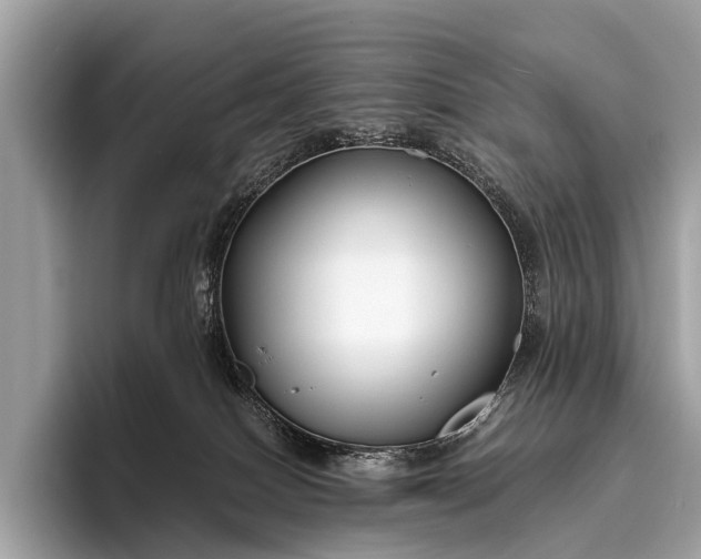 X0000095910086200801251018