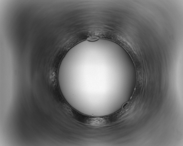 X0000095910087200801251018