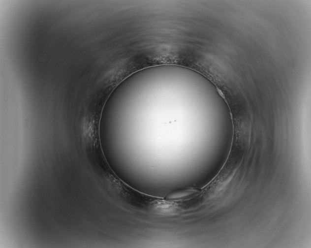 X0000095910088200801251018