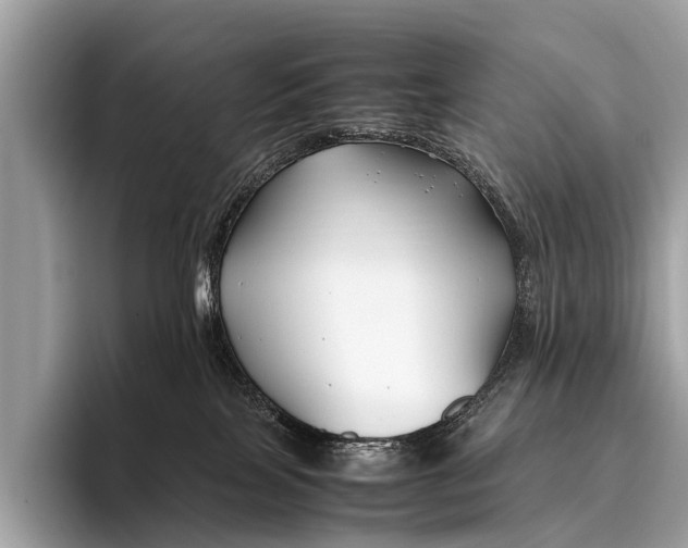 X0000095910089200801251018