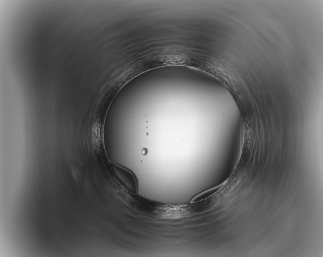 X0000095910093200801251018