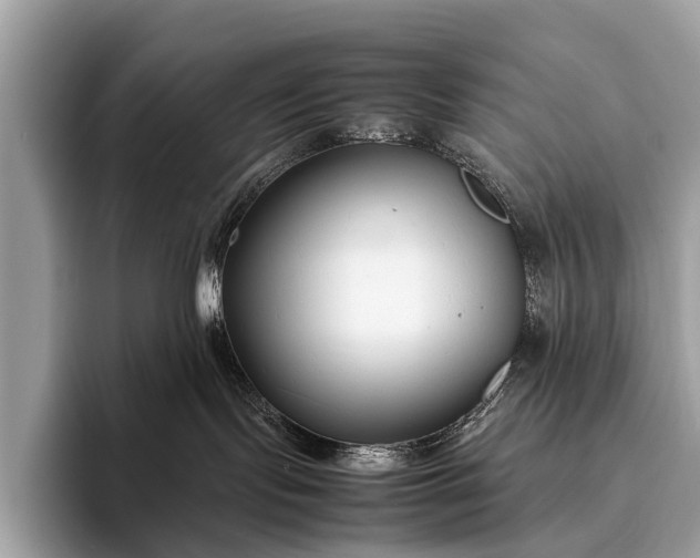 X0000095910095200801251018