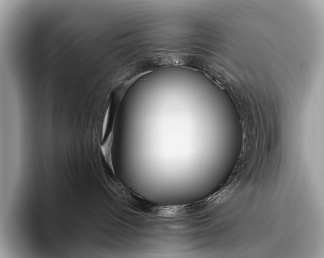 X0000095910096200801251018