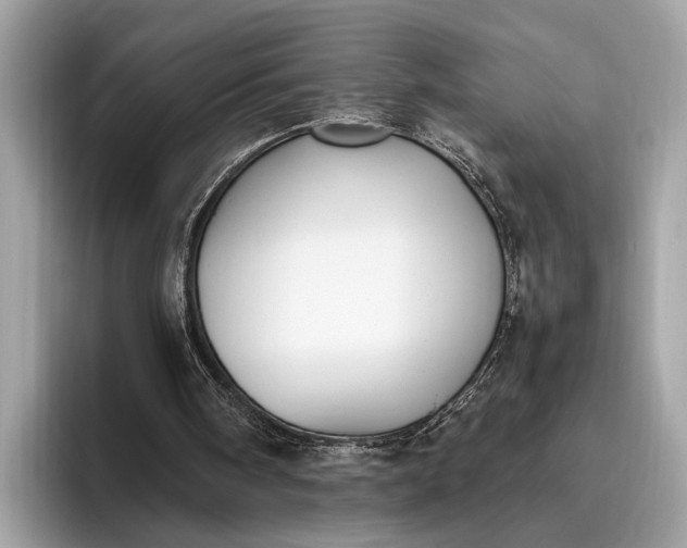 X0000095910098200801251018