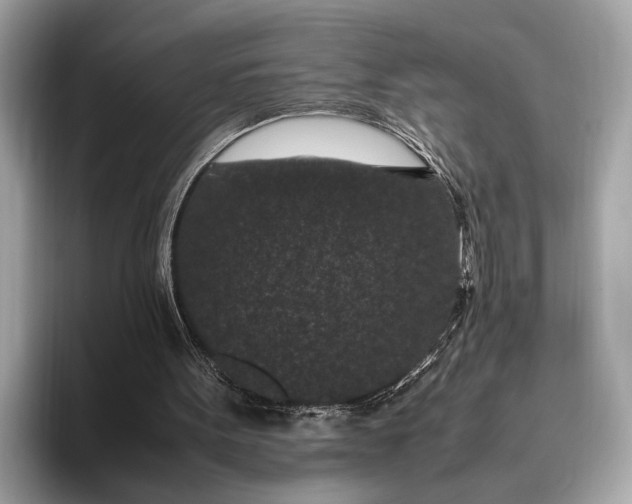 X0000095910099200801251018