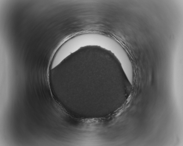 X0000095910100200801251018