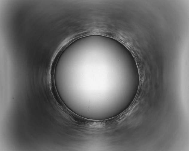 X0000095910102200801251018