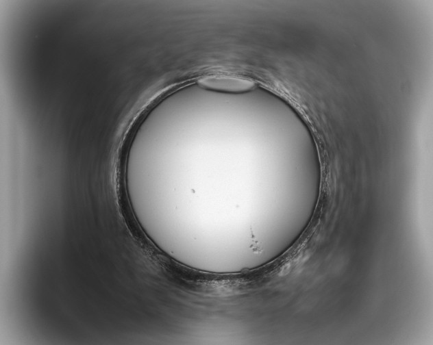 X0000095910103200801251018